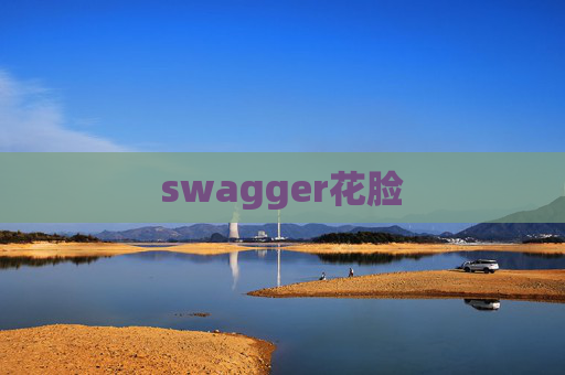 swagger花脸 swagger花脸